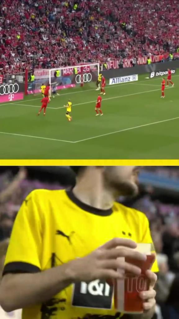 勇者無(wú)懼！這是真多特球迷！在拜仁球迷區(qū)一個(gè)人肆意慶祝！